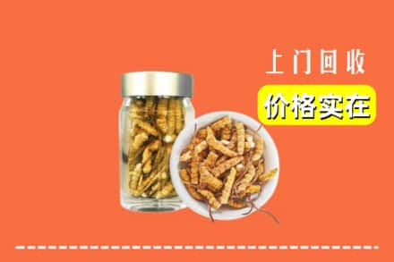 收购资讯:泸州泸县回收散虫草