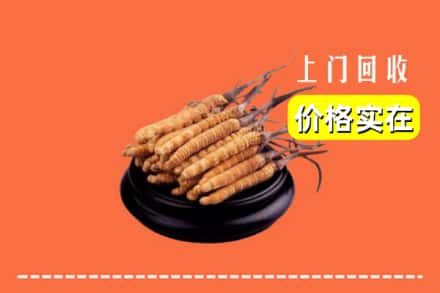 泸州泸县回收冬虫夏草