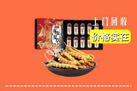泸州泸县回收虫草